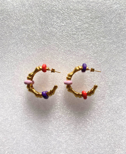 Fancy earrings
